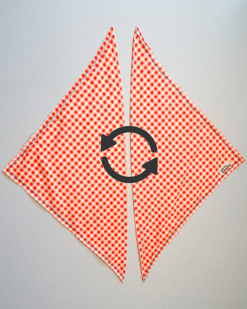 Adria and Oatmeal Bandana