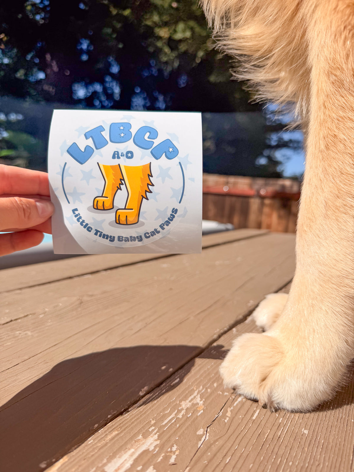 LTBCP Vinyl Sticker